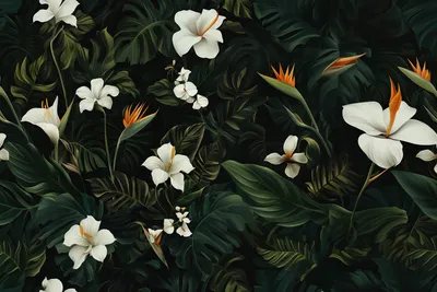 dark and tropical wallpaper with white flowers, bird of paradise, California poppies, monstera leaves --ar 3:2