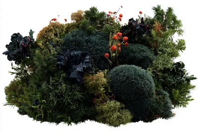 the same dense floating moss-and-lichen colony as the reference, transformed into late autumn: deep midnight-navy and bl