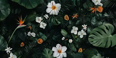 dark and tropical wallpaper with white flowers, bird of paradise, California poppy flowers, monstera leaves, darker cent
