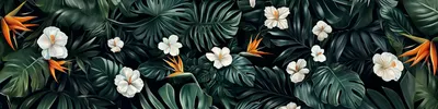 dark and tropical wallpaper with white flowers, bird of paradise, California poppies, monstera leaves --ar 4:1