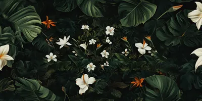dark and tropical wallpaper with white flowers, bird of paradise, California poppy flowers, monstera leaves --ar 2:1 --v