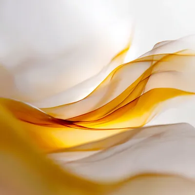 Minimal abstract composition on pure white background a soft, weightless central form inspired by sunrise; flowing lumin