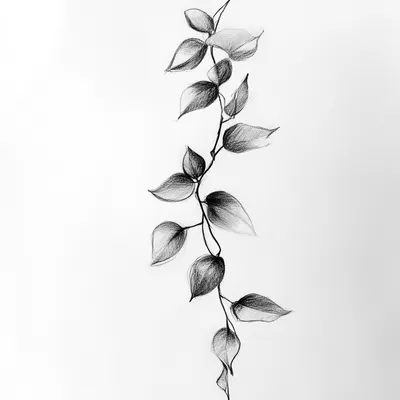 black and white vine charcoal sketch of a piece of journal, simple shapes