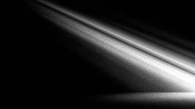 pure black to white gradient, smooth cinematic grain overlay, classic film noir lighting, high contrast, silver gelatin