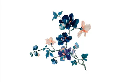 A single imagined benevolent botanical specimen, fully isolated and entirely contained within a compact central composit