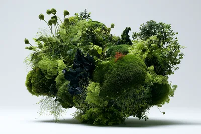 the same dense floating moss-and-lichen colony as the reference, transformed into early spring renewal: vigorous plush m