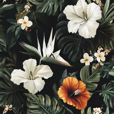 dark and tropical wallpaper with white flowers, bird of paradise, California poppies, monstera leaves
