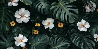 dark and tropical wallpaper with white flowers, bird of paradise, California poppy flowers, monstera leaves, darker cent
