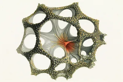 an abstract scientific specimen representing a better company: a strange, elegant organism built from interconnected cha