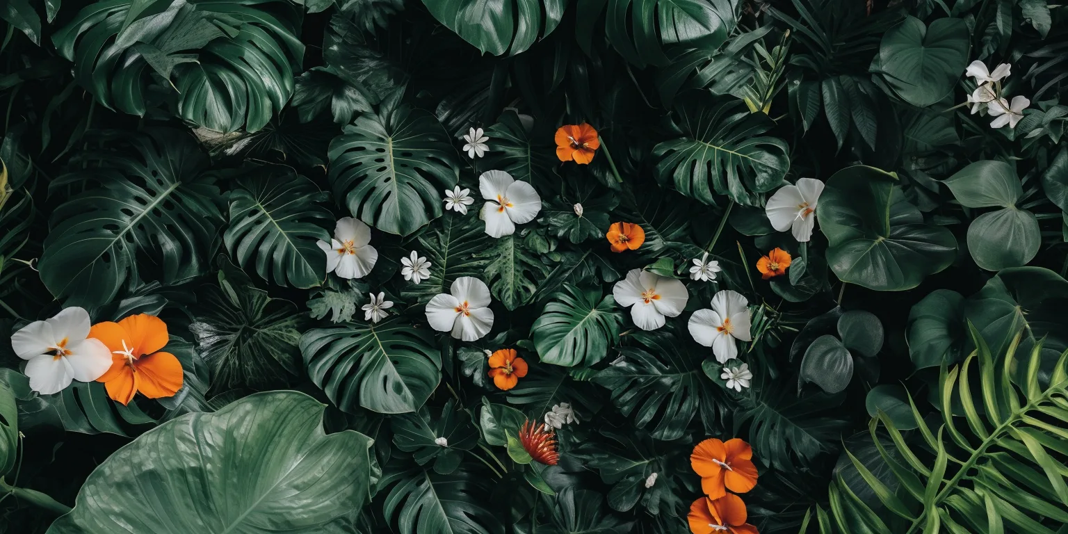dark and tropical wallpaper with white flowers, bird of paradise, California poppy flowers, monstera leaves, darker cent