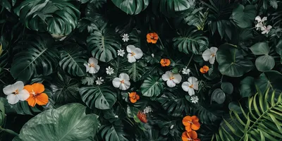 dark and tropical wallpaper with white flowers, bird of paradise, California poppy flowers, monstera leaves, darker cent