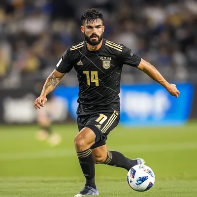 MLS compensation data