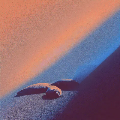 https://s.mj.run/EOWtC1-ZySo https://s.mj.run/jOZqrEKj-d8 airy halftone gradients, dithering, abstract, dead seals layin