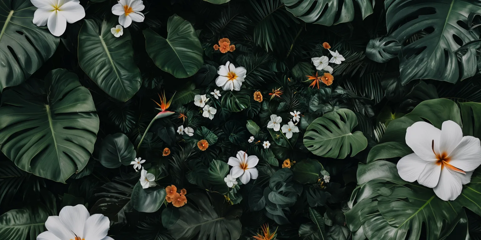dark and tropical wallpaper with white flowers, bird of paradise, California poppy flowers, monstera leaves, darker cent