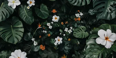 dark and tropical wallpaper with white flowers, bird of paradise, California poppy flowers, monstera leaves, darker cent