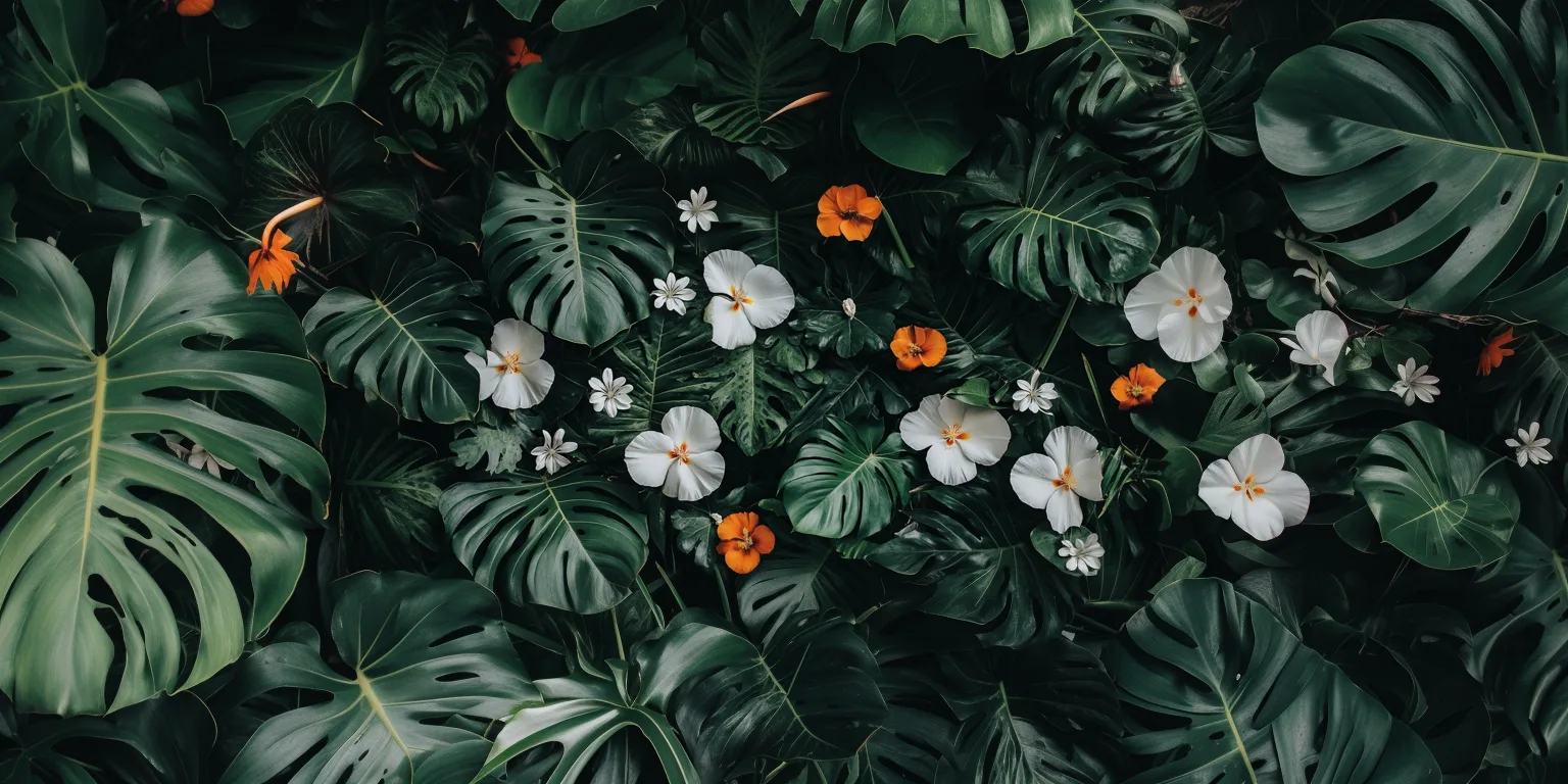 dark and tropical wallpaper with white flowers, bird of paradise, California poppy flowers, monstera leaves, darker cent