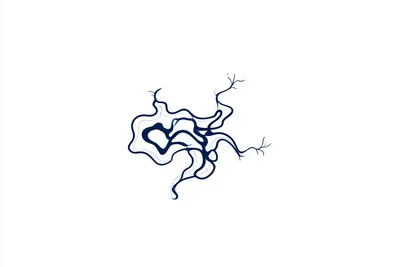 a small abstract scientific header illustration: one compact, dynamic organic form made from a few flowing nested contou